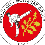 De beste Kampsport i Leirvik