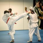 De beste kampsport i Ørje