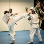 De beste Kampsport i Tranby