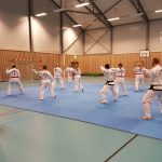 De beste Kampsport-opplevelser i Indre Fosen